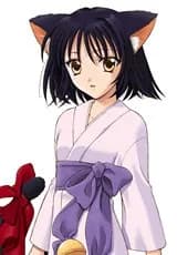 Miya