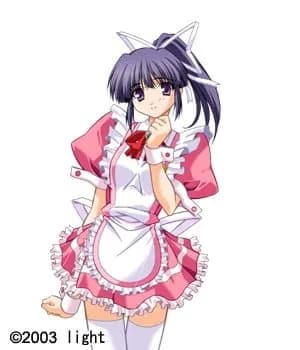 藤之宮蛍