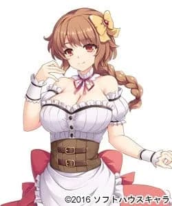 チコリ