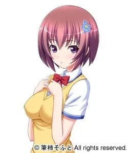 Tsuboi Sayaka