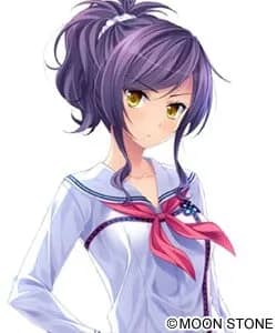 衿坂美冬
