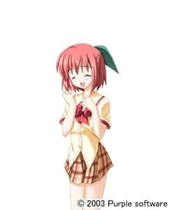 九条向日葵