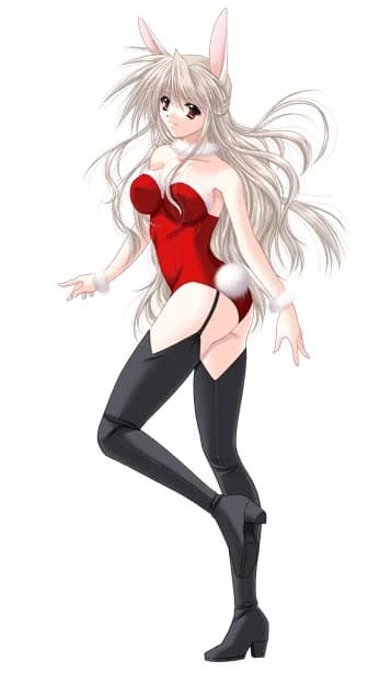 白兎