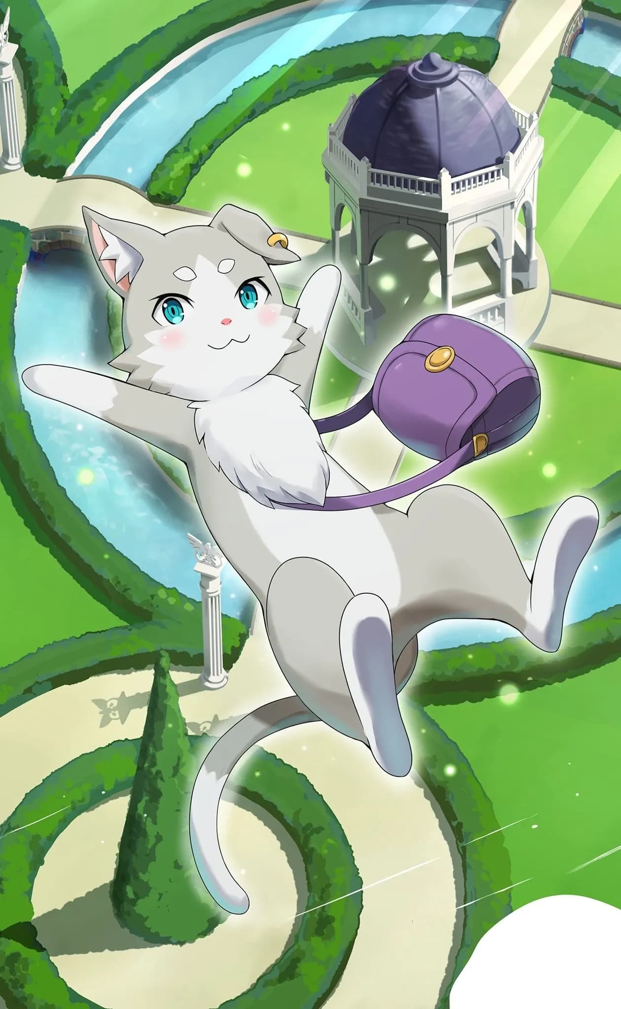 パック