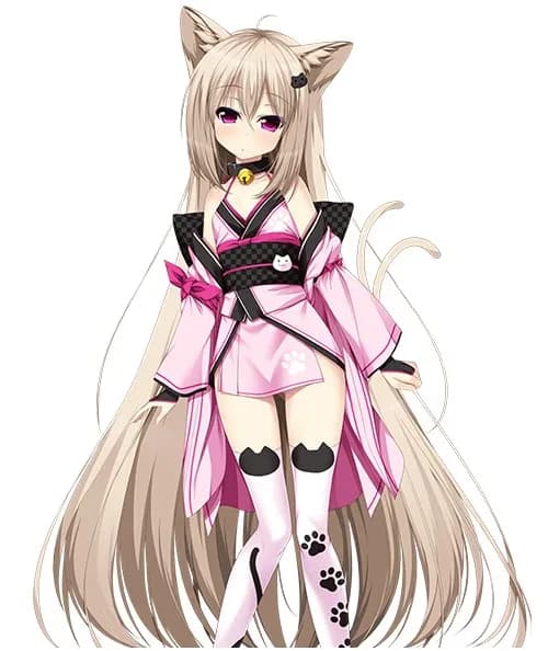 ねこ