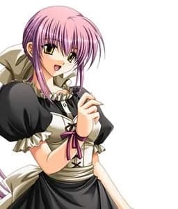 Sheria Jet