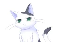 Sasami