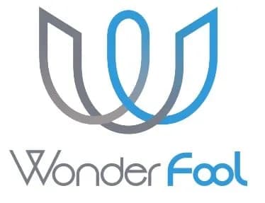 Wonder Fool