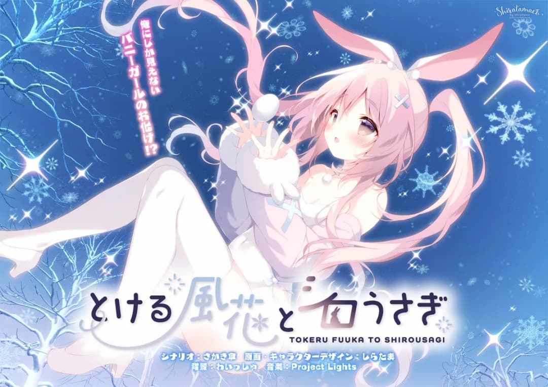 とける風花と白うさぎ