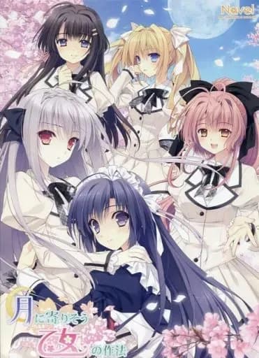 近月少女的礼仪