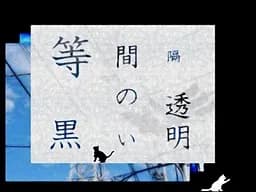 等间隔的黑色透明