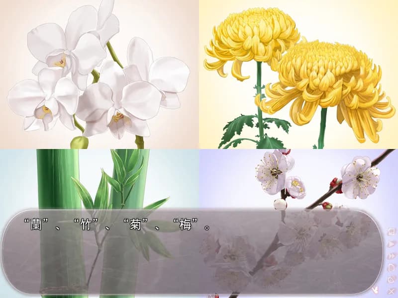 game/595/image/40320cd1-41e8-4b09-ac1a-5c8abd61003e.webp