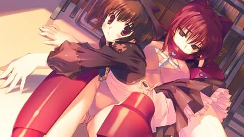 https://images.yurari.moe/galgame/11547/s1xr66wl_20.webp